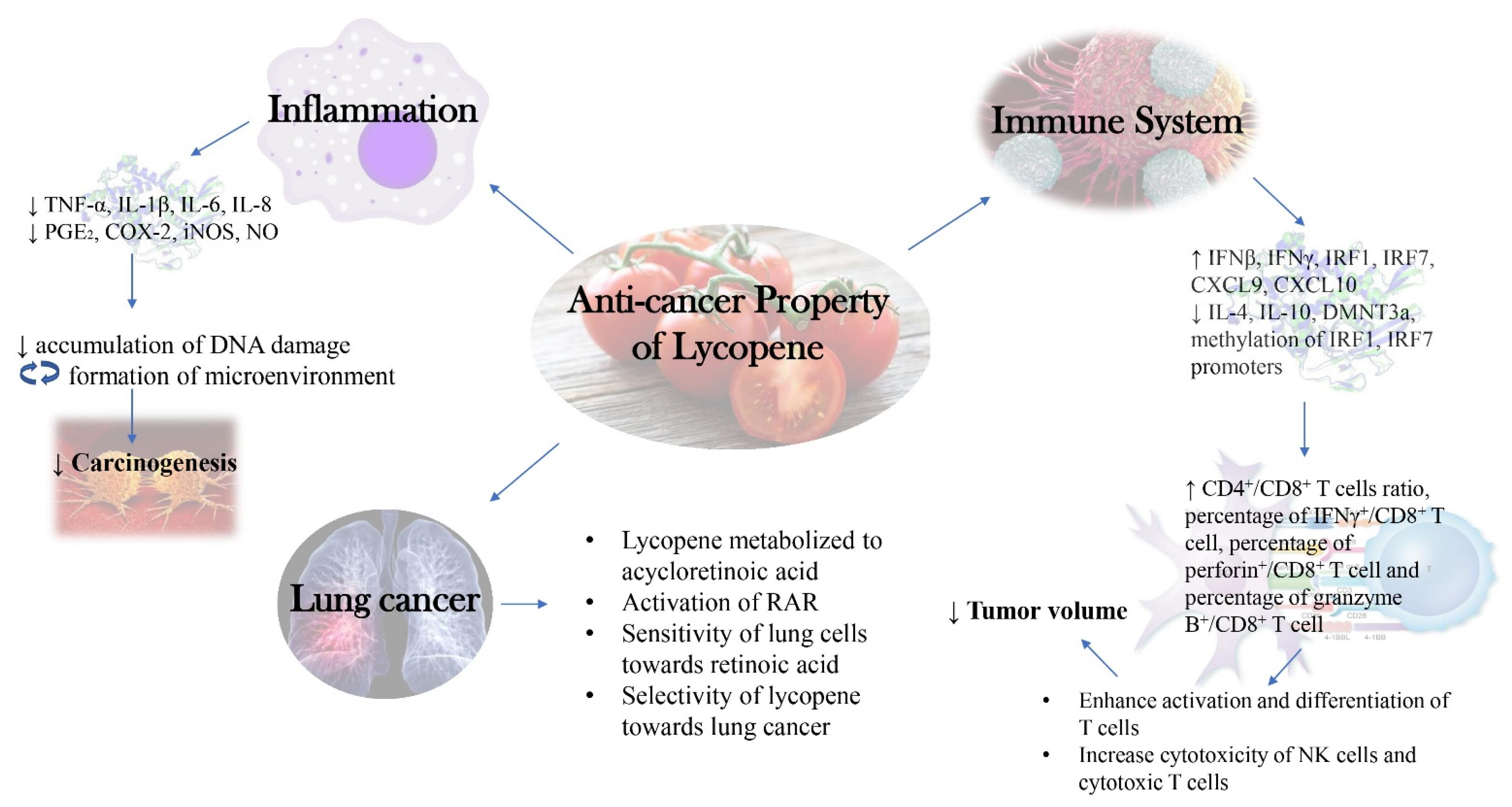 Molecules 26 03888 g002