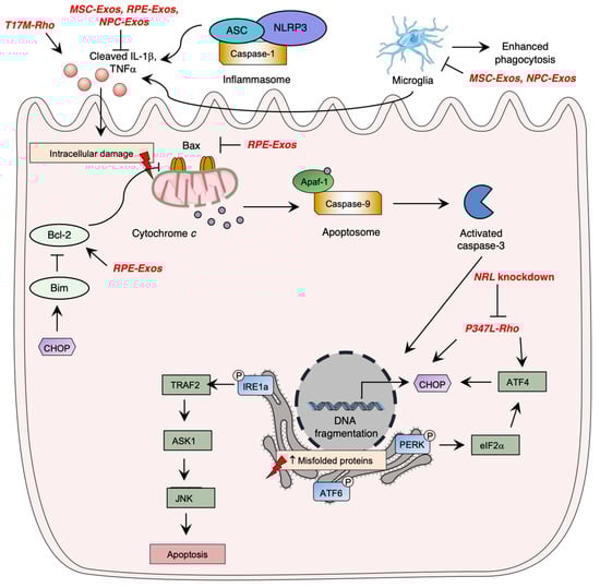 Pharmaceutics 15 00685 g003 550