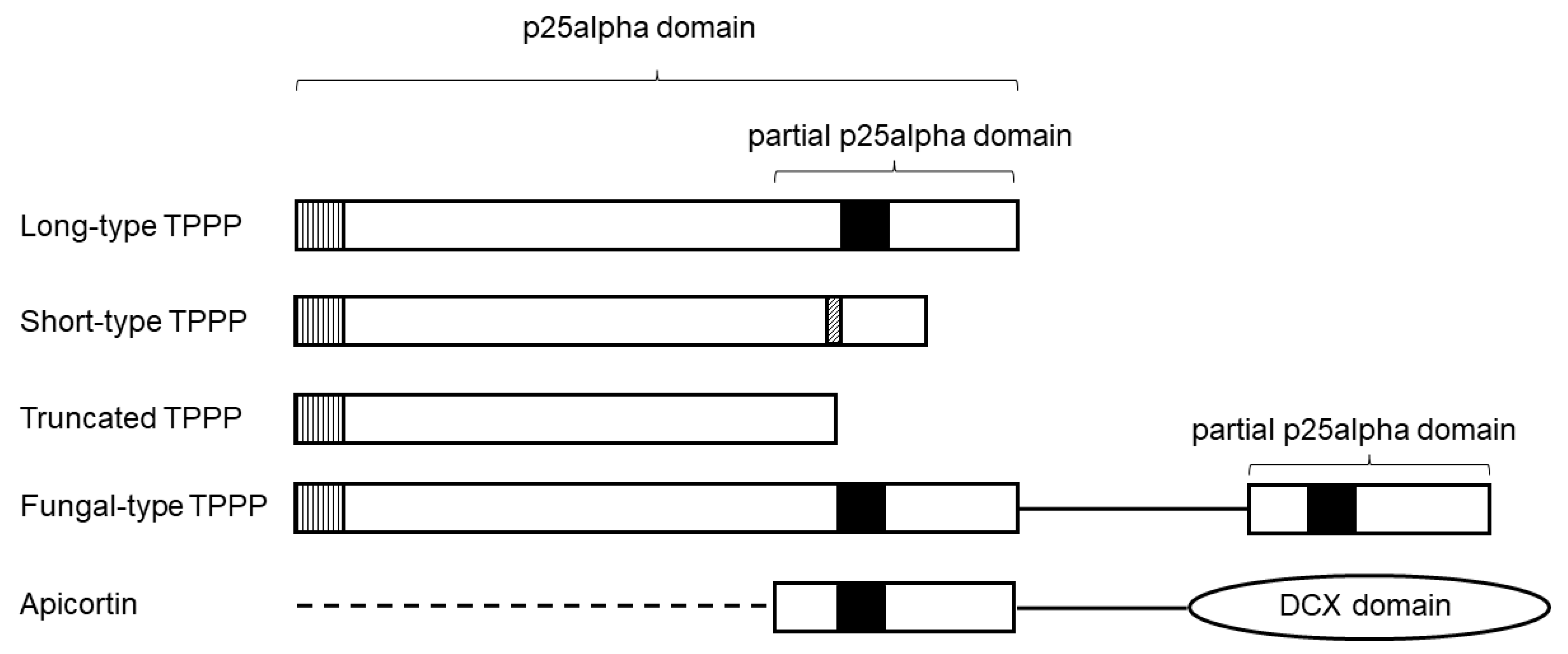 Microorganisms 11 01528 g001