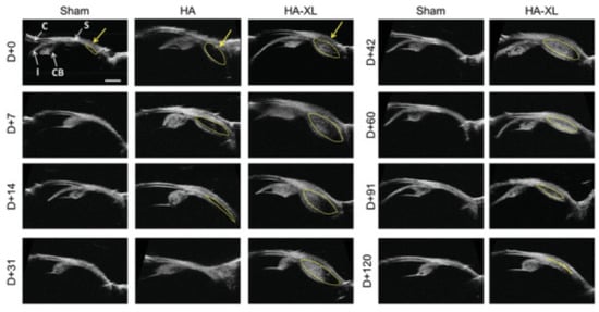 Pharmaceuticals 16 01241 g008