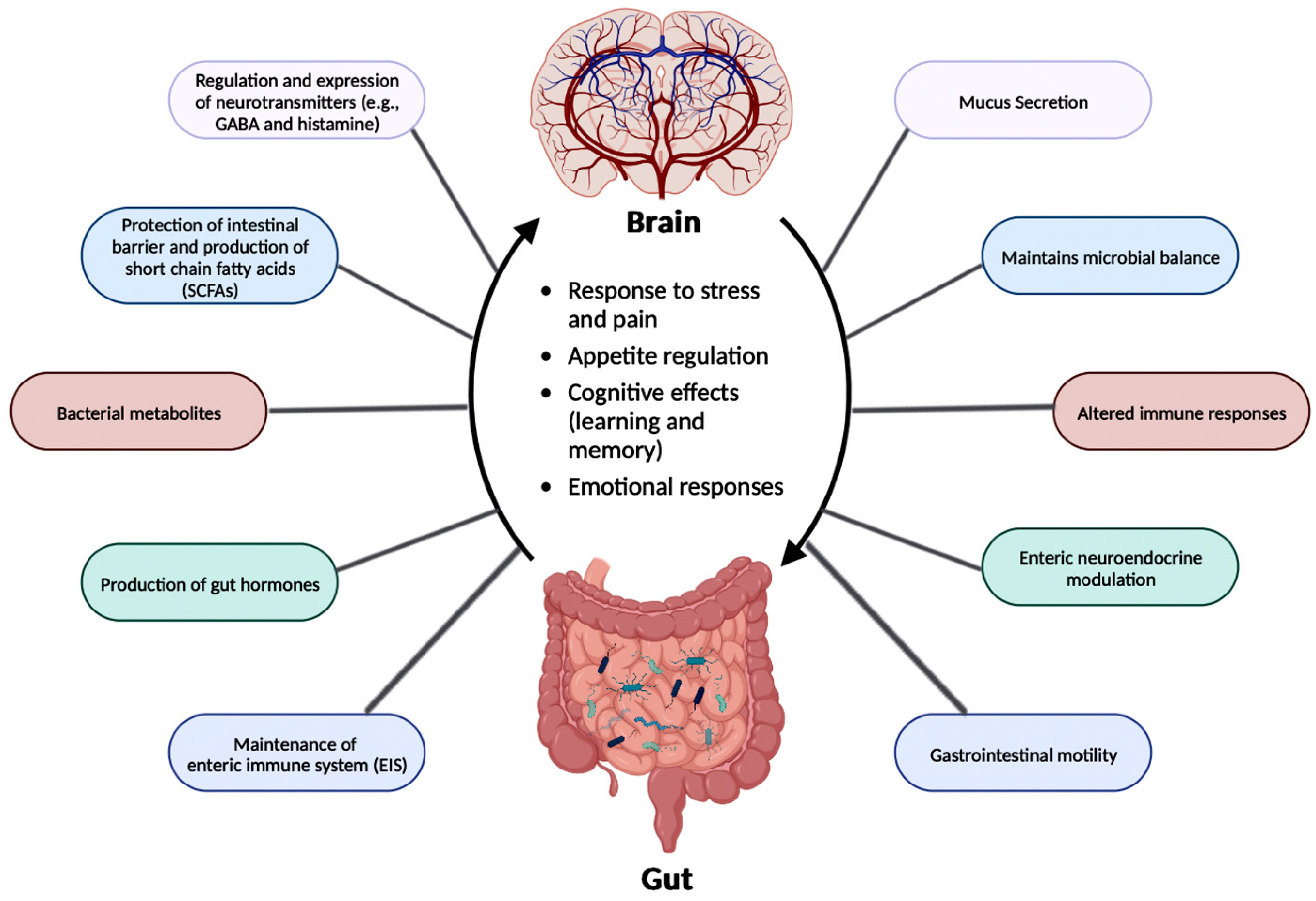 Brainsci 14 00096 g003