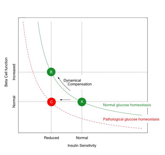 The relationship between insulin sensitivity and beta-cell function is hyperbolic in a ‘metabolically healthy’ organism. Via dynamic compensation, beta-cell mass increases with progressive insulin resistance, whereas the disposition index, which is the product of insulin sensitivity and beta-cell function (green line), remains constant (transition from A to B). If this does not happen or is insufficient (transition from A to C), the result is prediabetes or type 2 diabetes mellitus.